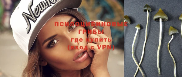 apvp Алексеевка