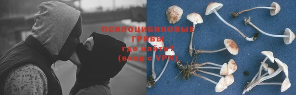 дживик Алзамай
