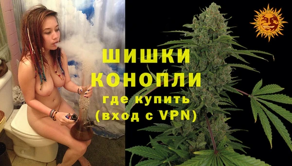 дживик Алзамай